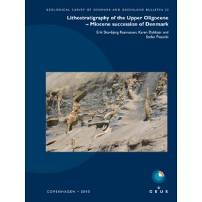GEUS Bulletin Vol. 22: Lithostratigraphy of the Upper Oligocene - Miocene succession of Denmark