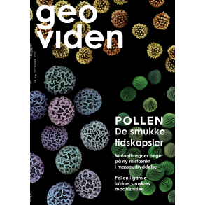 Geoviden 2020, Nr. 4: Pollen og sporer